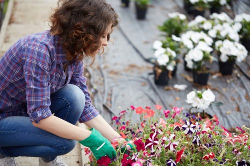 Beautiful Clapham garden with professional gardeners at work