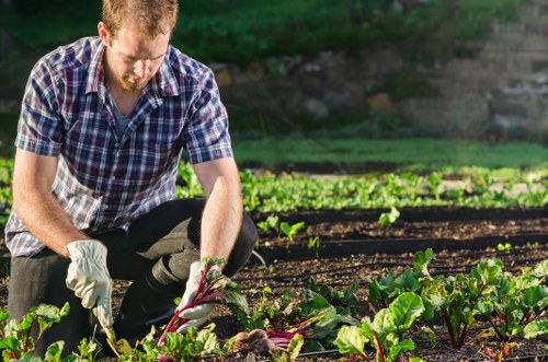 Expert gardeners at work in a Clapham garden