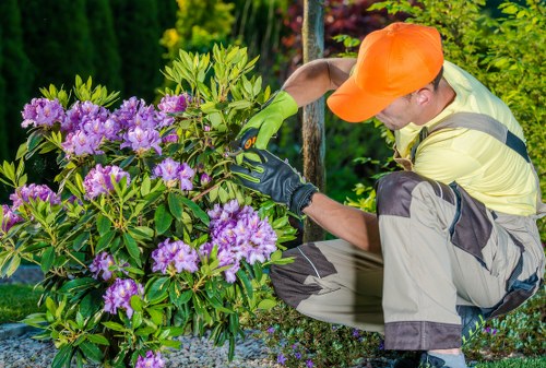 Eco-friendly garden maintenance by Gardener Clapham