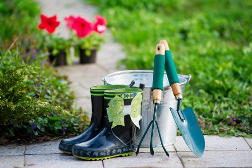Tree lopping equipment and tools used by professionals
