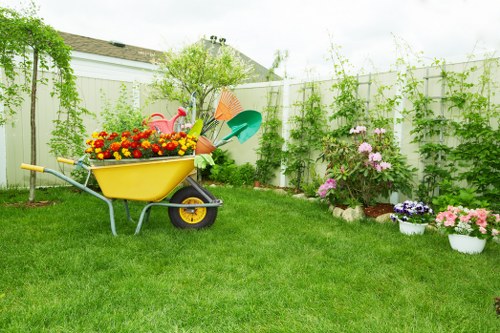 Healthy, well-maintained hedge after trimming