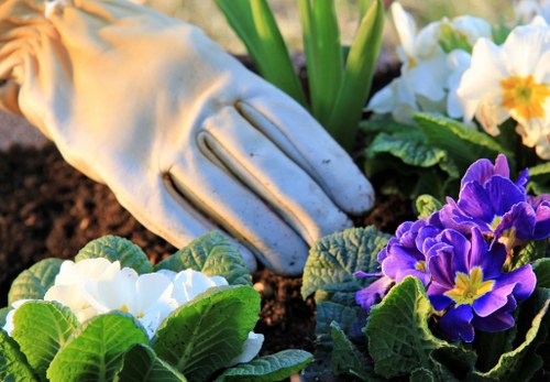Join the Gardener Clapham family for exceptional garden care