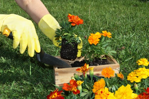 Eco-friendly garden clearance in Clapham
