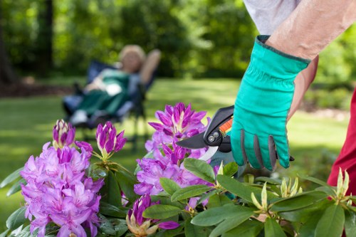 Representative image of accessible web content being reviewed on a laptop for Clapham gardening services