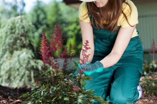Sustainable landscaping practices in Clapham