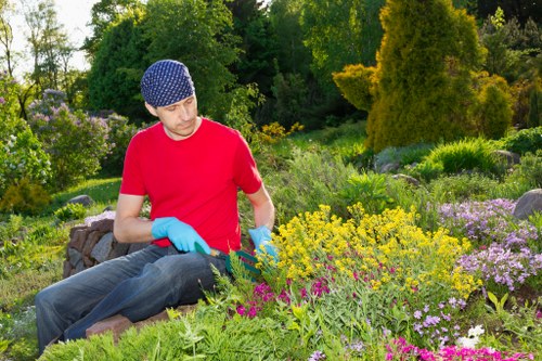 Autumn garden preparation in Clapham