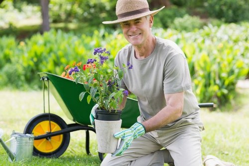 Various types of lawn mowers for different needs