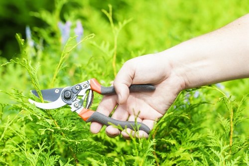 Gardening tools and tidy path in a Clapham courtyard