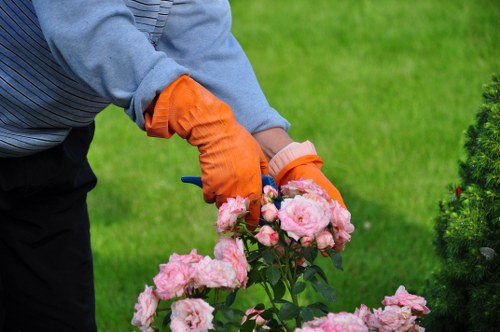 Selection of thriving plants for Clapham gardens