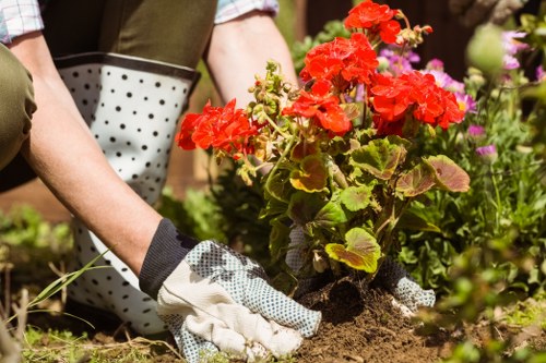 Gardener Clapham team providing landscaping services