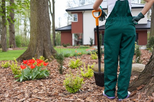 Team conducting a site risk assessment in a garden