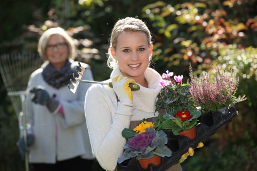 Professional garden maintenance services in Clapham