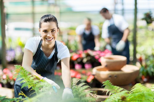 Transform your outdoor space with Gardener Clapham expertise
