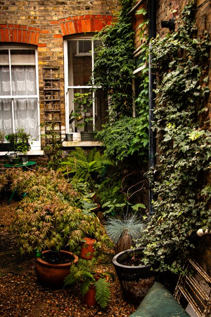 A small, lush garden space nestled between red-brick and wooden exterior walls. The scene features a variety of vibrant green plants and ferns, some in terracotta and black pots placed on the gravel g