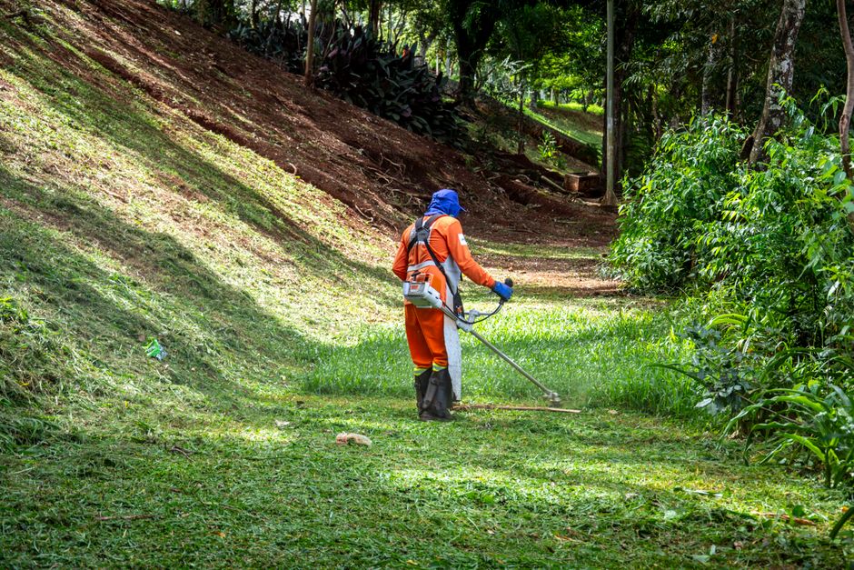 A gardener wearing a high-visibility vest, maroon trousers, and a beige cap stands outdoors, trimming a dense, mature hedge with a long-handled electric pruning tool. The hedge, composed of green foli